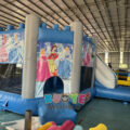 Princess Bounce House Slide Combo