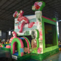 https://kuoyeinflatables.com/product/cb551-flamingo-breeze-bounce-house-water-combo/