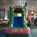 https://kuoyeinflatables.com/product/cb551-flamingo-breeze-bounce-house-water-combo/