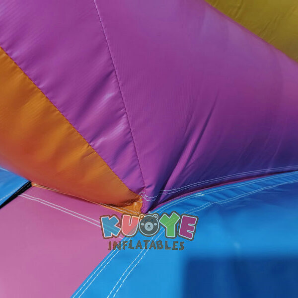 SL178 (2) Big Double Lane Candyland Slide