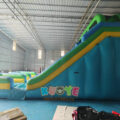 Blow Up Dual Lane Big Water Slide