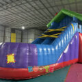 https://kuoyeinflatables.com/product/sl186-wacky-old-woman-colorful-shoe-slide/