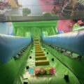 Double Lane Animal Inflatable Slide