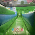 Double Lane Animal Inflatable Slide