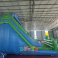 Double Lane Animal Inflatable Slide