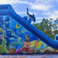 Coral Crush Water Slide & Sip N Slide