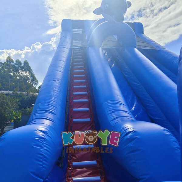 Coral Crush Water Slide & Sip N Slide Coral Crush Water Slide & Sip N Slide