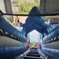 Frozen Dual Lane Inflatable Water Slide