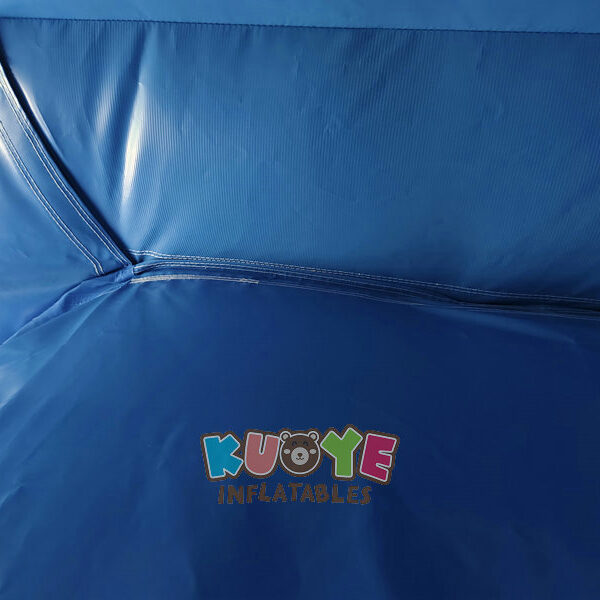 Frozen Dual Lane Inflatable Water Slide Frozen Dual Lane Inflatable Water Slide