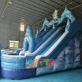 Frozen Dual Lane Inflatable Water Slide