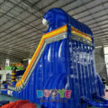 WS379 (5)