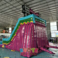 WS381 (5)