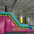 WS381 (9)