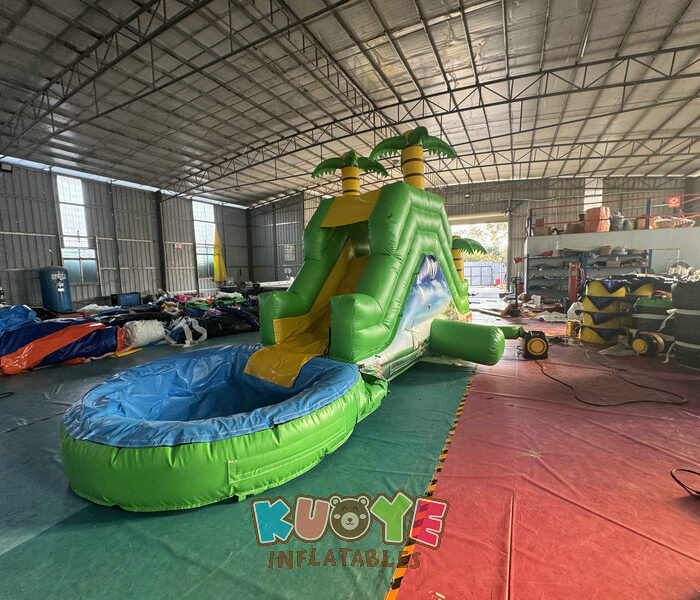 WS382 Inflatable Trampoline Back Yard Slide Water Slides for sale 2