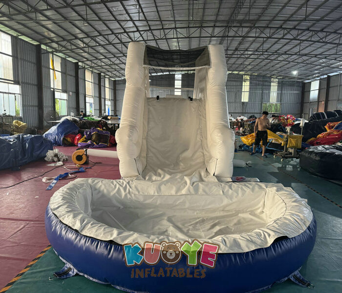 WS384 Tropical Dolphin Water Slide Water Slides for sale 2