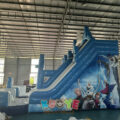 https://kuoyeinflatables.com/product/ws386-frozen-double-lane-slide-for-parties/