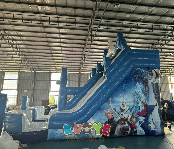 WS386 Frozen Double Lane Slide for Parties Water Slides for sale 2