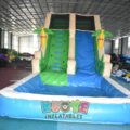 WS389 (5)