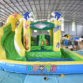 Seaworld Water Slide Bounce House Combo