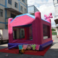 https://kuoyeinflatables.com/?post_type=product&p=18882&preview=true