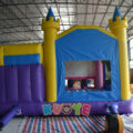 Princess Bounce House Slide Combo
