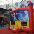 Frozen Bounce House