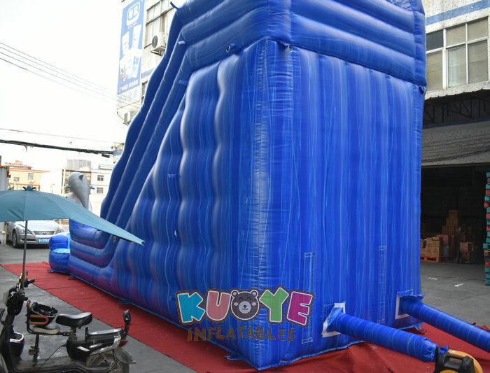 WS400 20ft Dolphin Water Slide Water Slides for sale 2