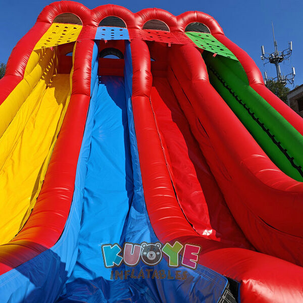 IMG_20241221_135631 IMG_20241221_135631