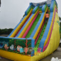Large 26FT Bird Theme Inflatable Slide
