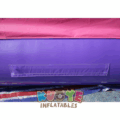 BH303 14 x 14ft Pink Castle Bouncer