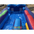 WS425 21' Carnival Themed Inflatable Fun Water Slide