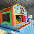 Commercial Jumping Castle Slide Combo With Detachable Cartoon Banner