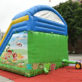 Spring Inflatable Slide