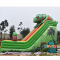 SL219 Chameleon Slide with Double Lane
