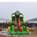 SL219 Chameleon Slide with Double Lane
