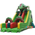 SL219 Chameleon Slide with Double Lane